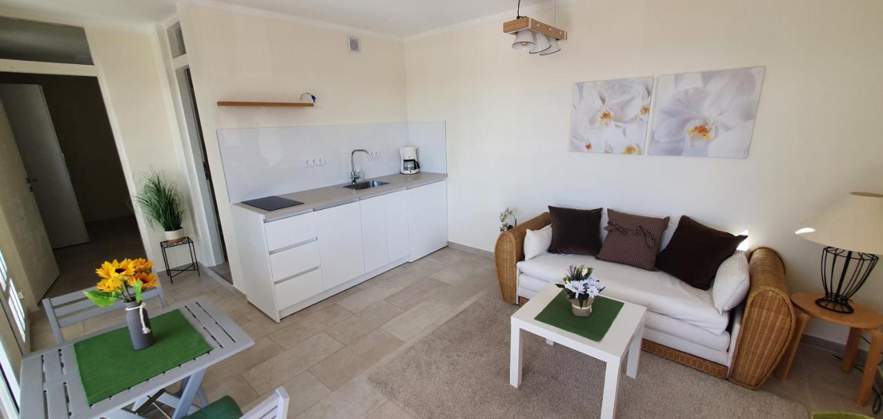 Apartments Ruzic ニヴィーチェ 部屋 写真